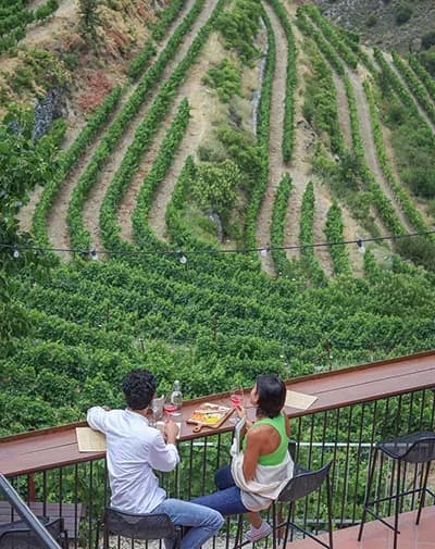 Cyprus-Wine-Tasting